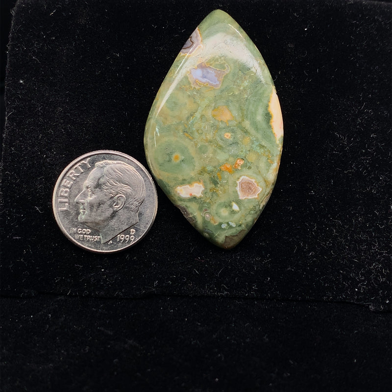 Rainforest Jasper