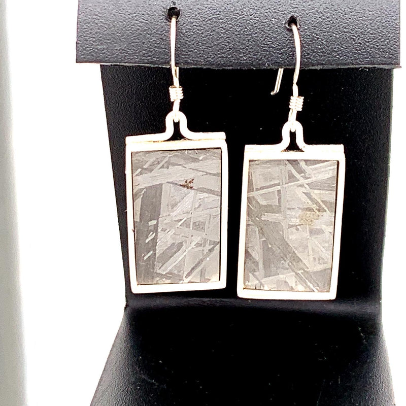 Meteorite Earrings