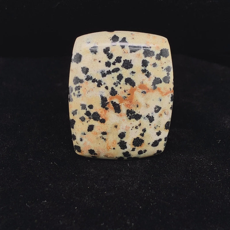 Dalmatian Jasper