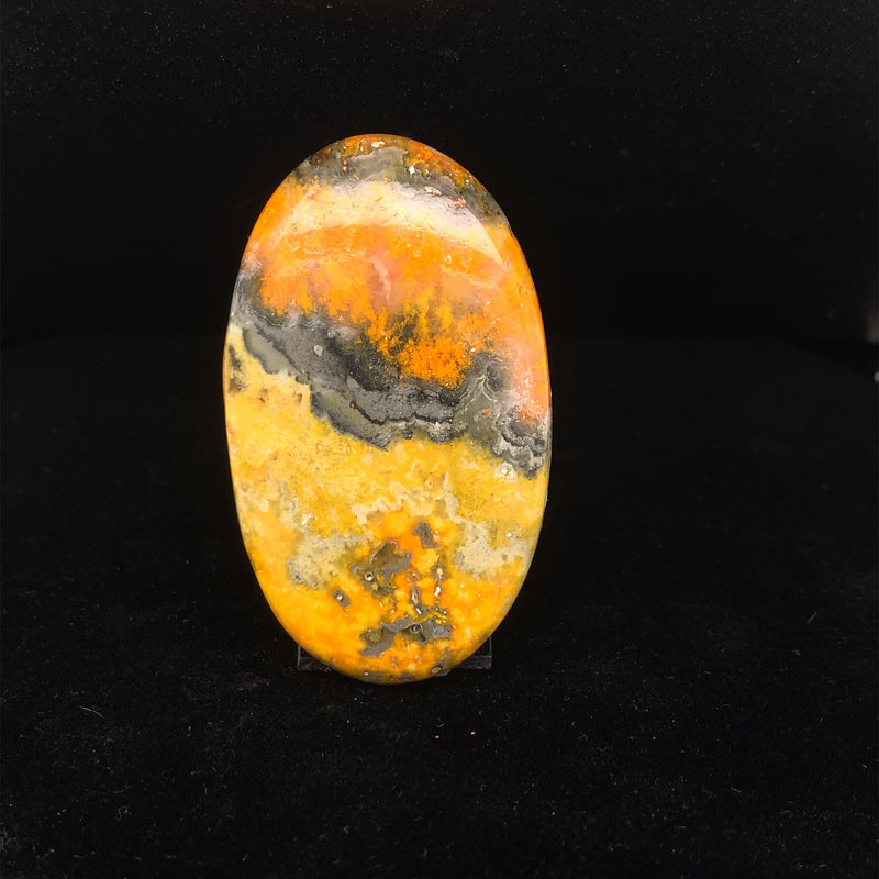 Bumblebee Jasper