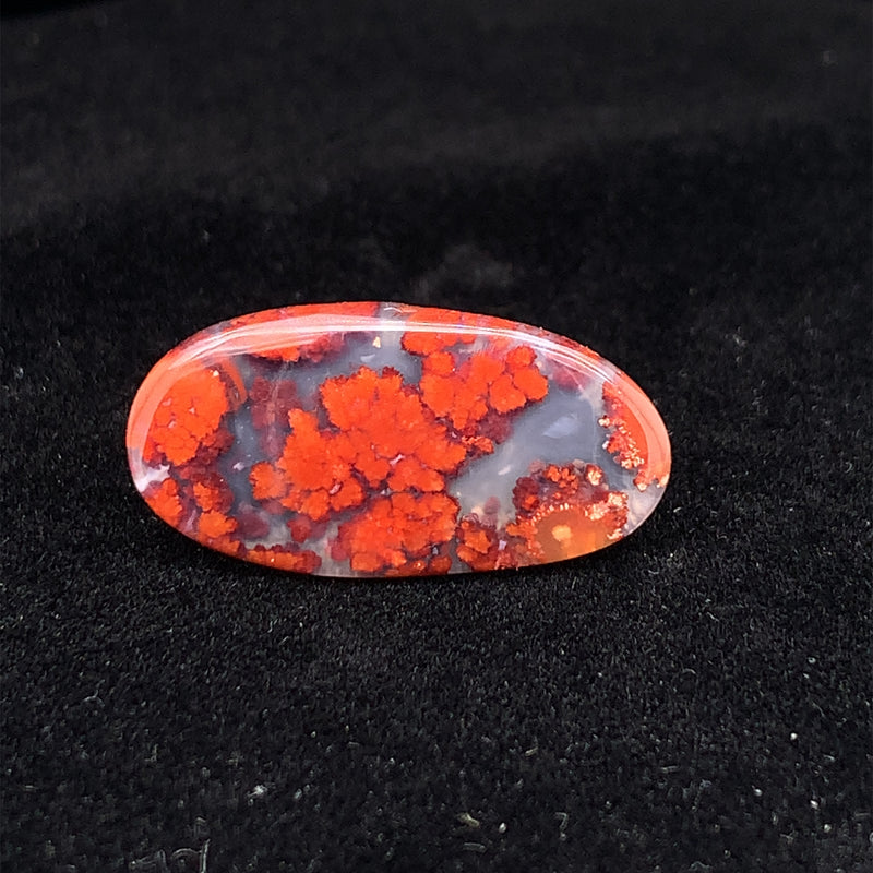 Texas Plume Agate