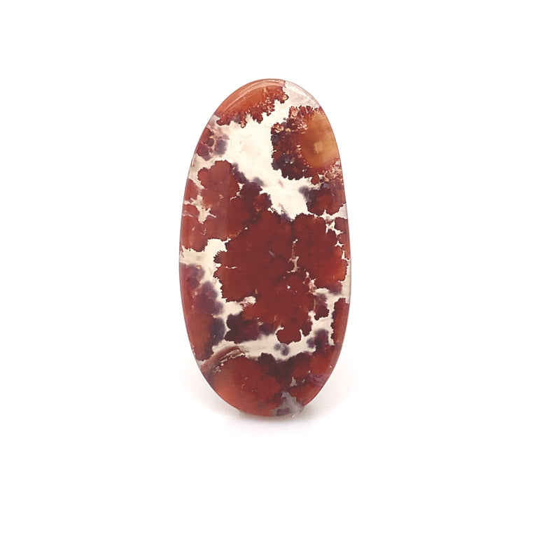 Texas Plume Agate