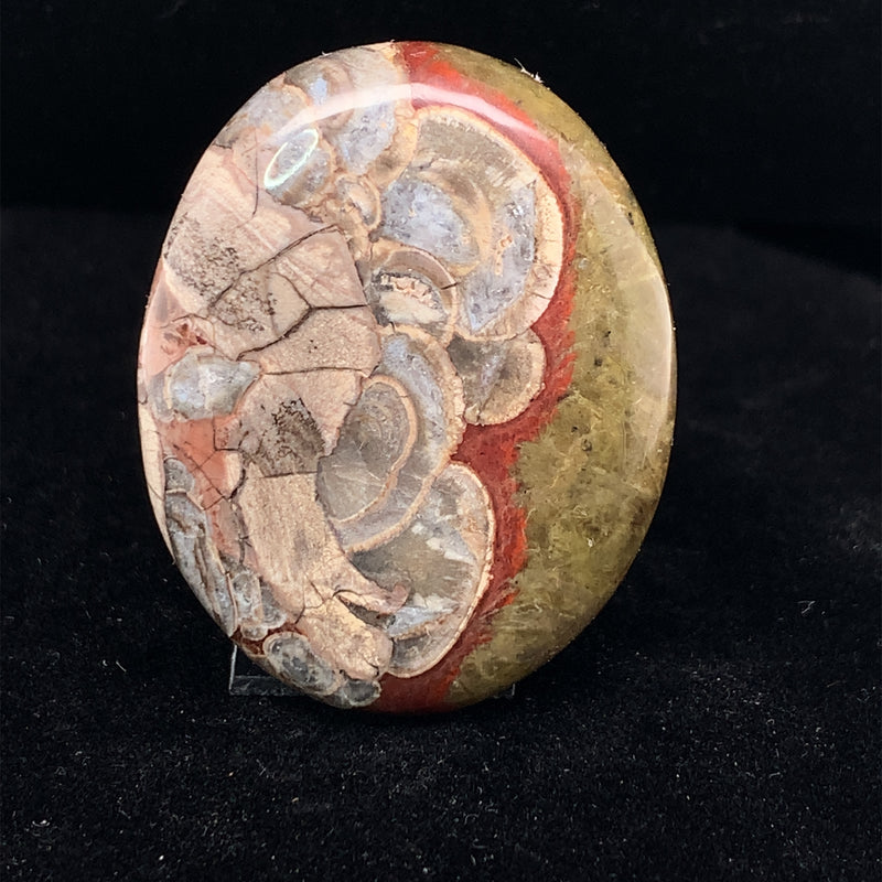 Mushroom Jasper