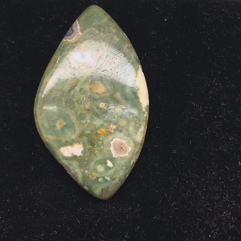 Rainforest Jasper