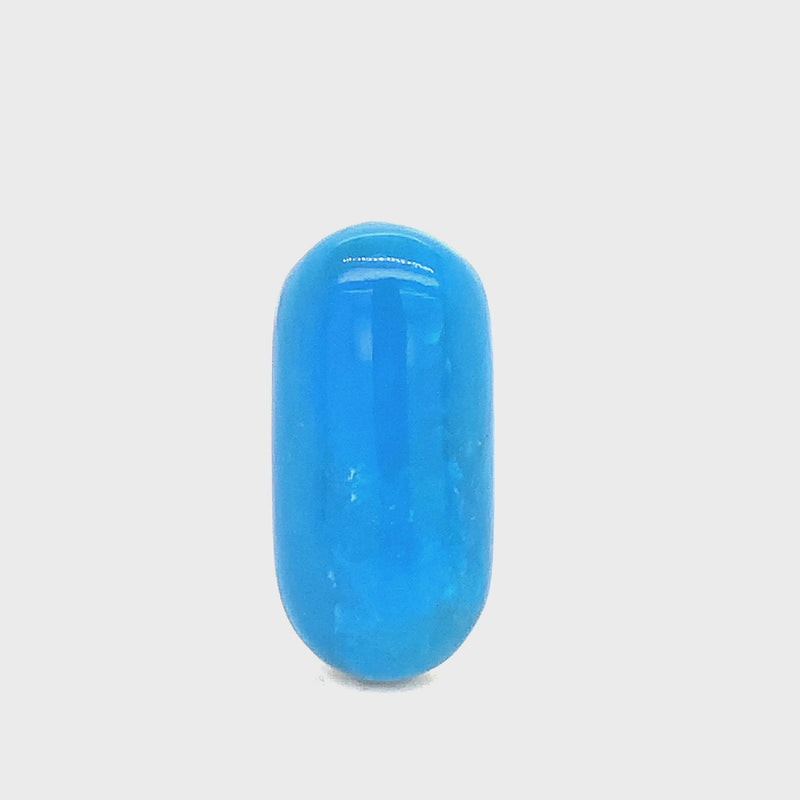 Blue Opalina