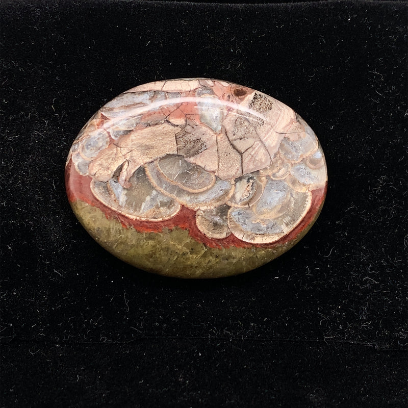 Mushroom Jasper