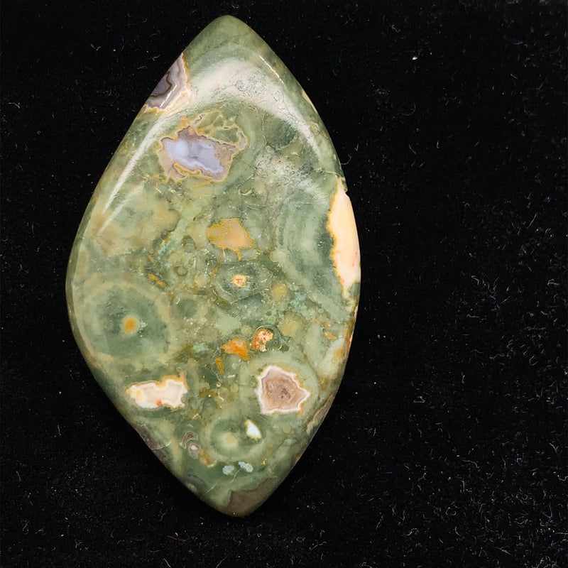 Rainforest Jasper