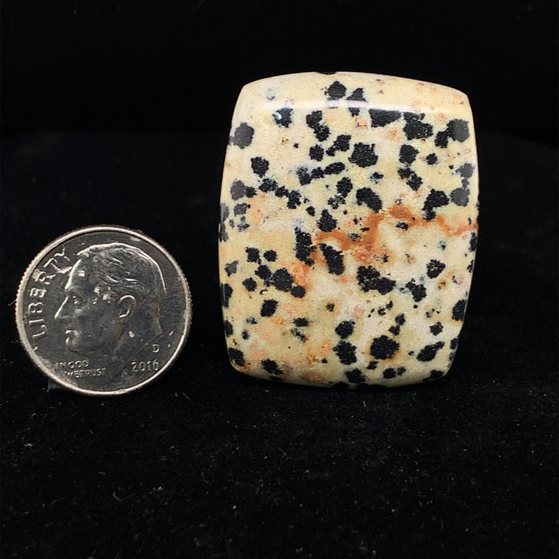 Dalmatian Jasper