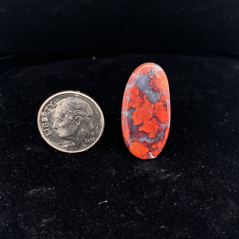 Texas Plume Agate