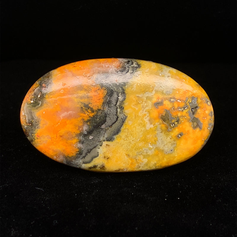 Bumblebee Jasper